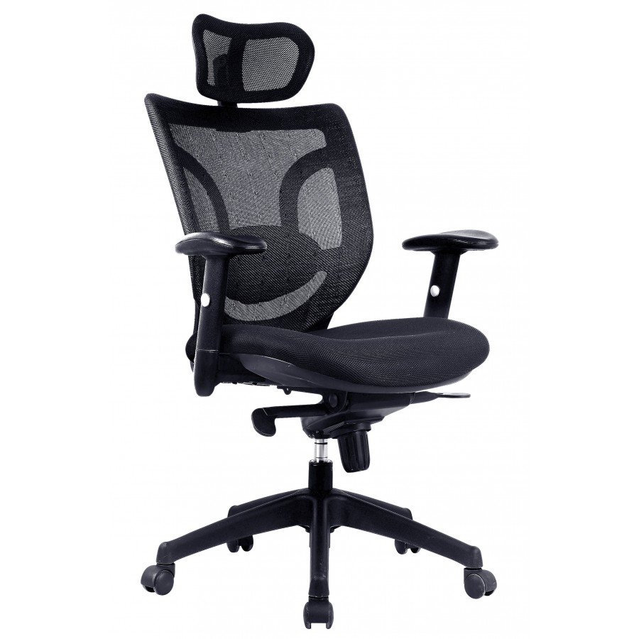 Newton Mesh Executive Office Chair